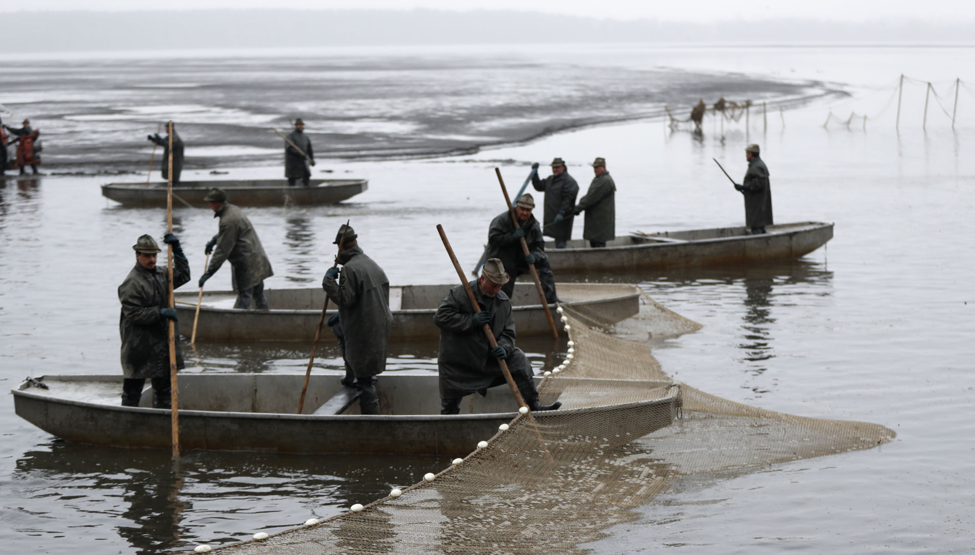 Czech Republic Carp Catching Photo Gallery